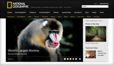 平台担保交易的网站攻击工具手机版